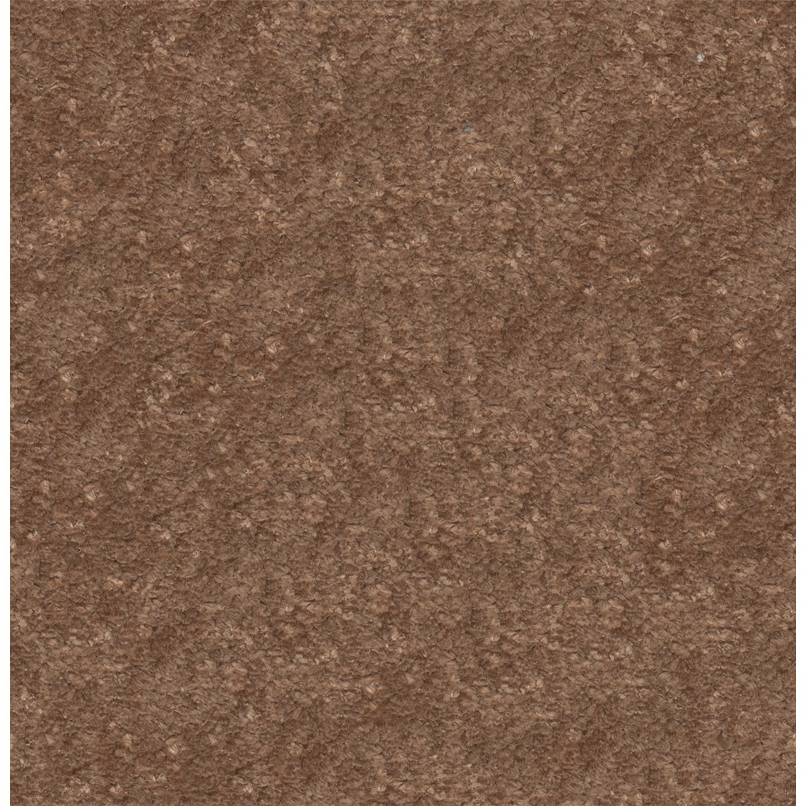 Brighton_Copper