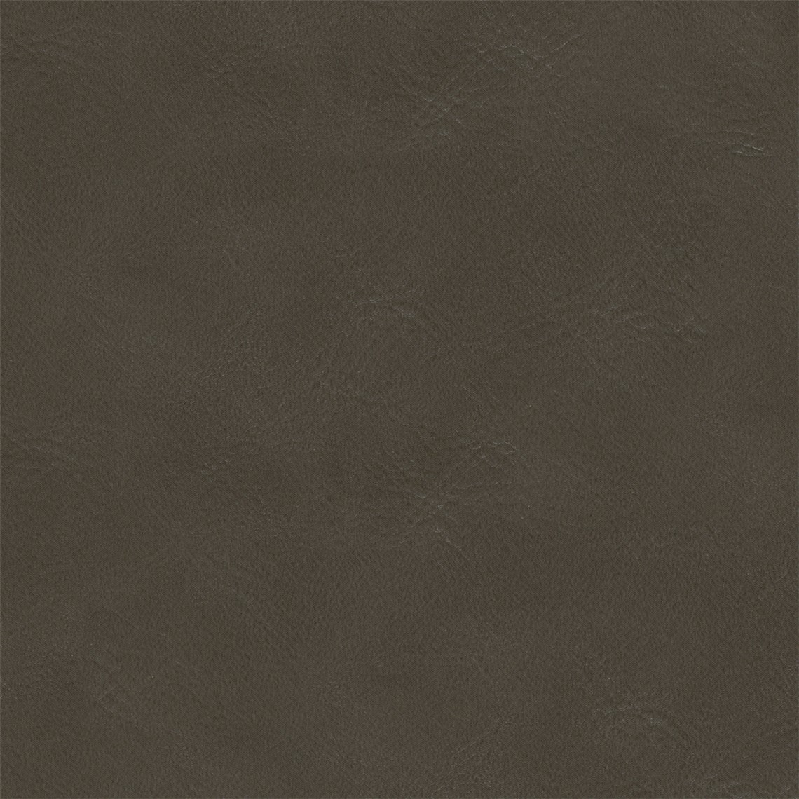 Britannia_Mink