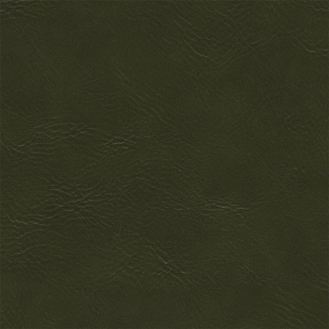 Britannia_Pine