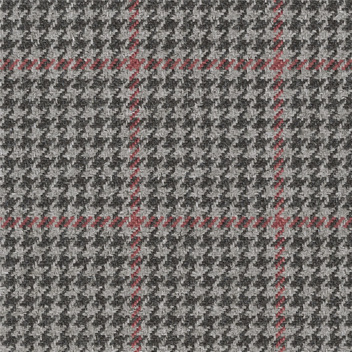 Caledonian_Firebrick