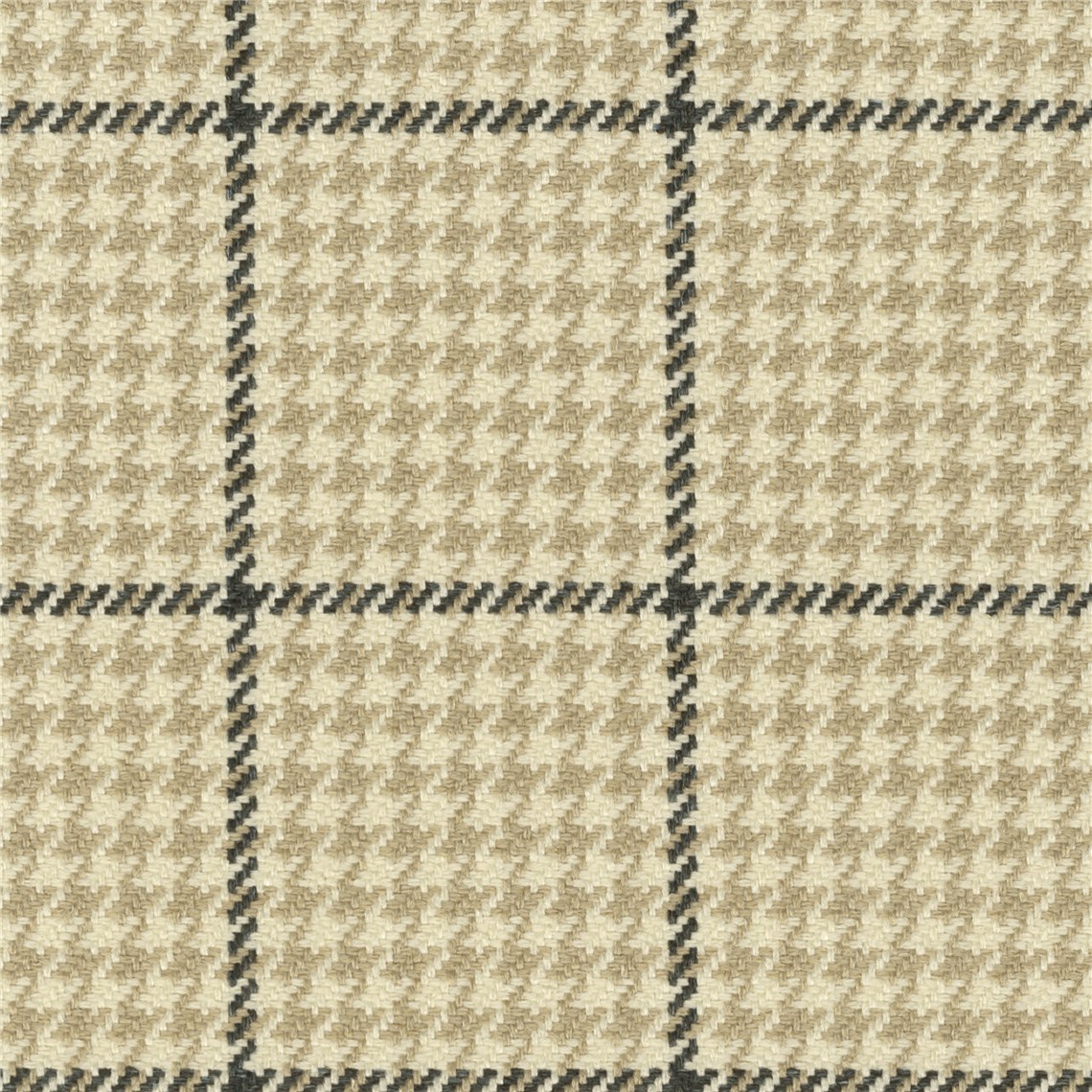 Caledonian_Onyx