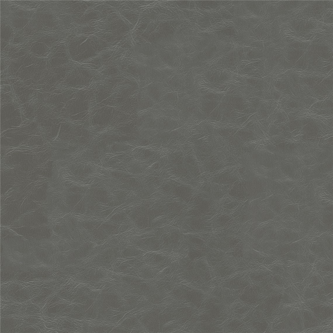 Cantina_Gray