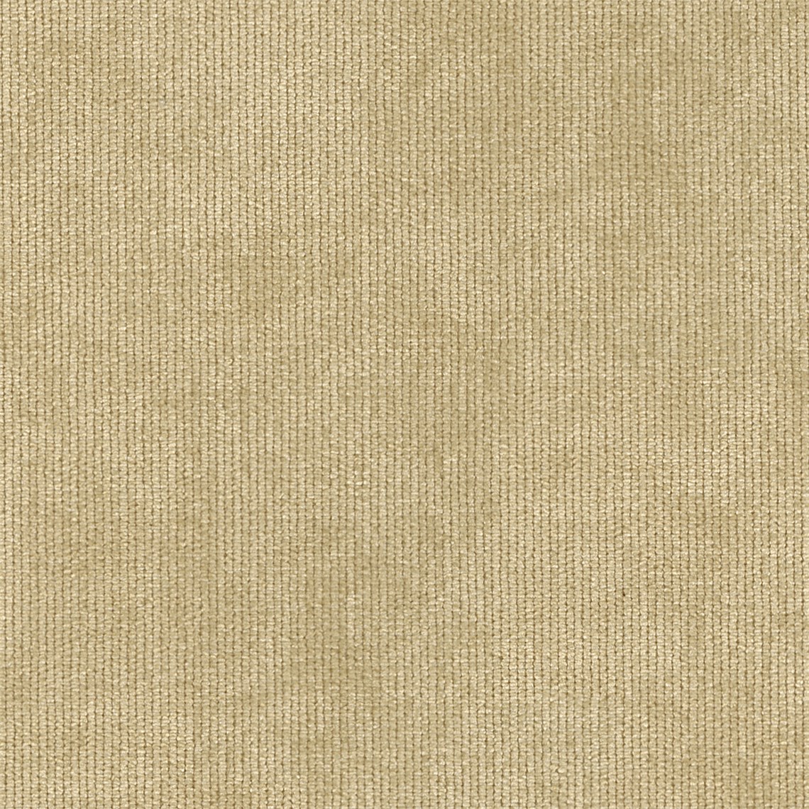 Chesterfield_Maple
