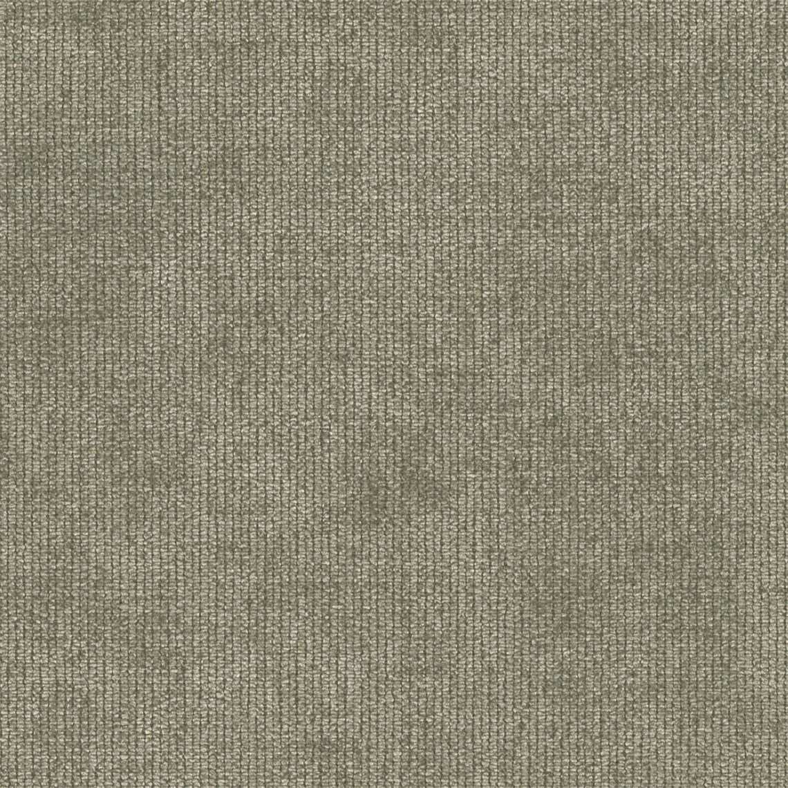 Chesterfield_Quail