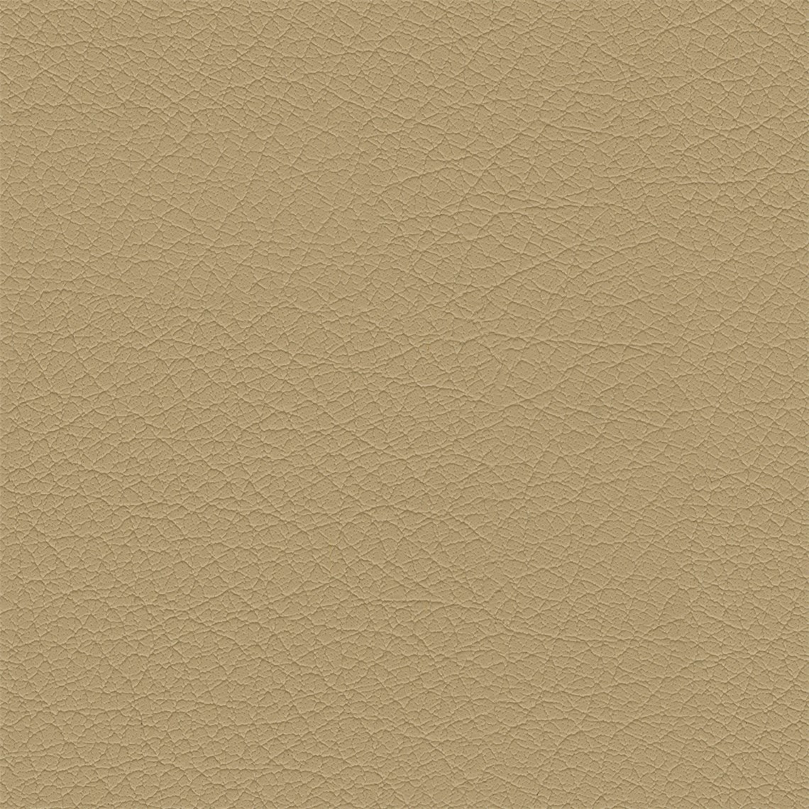 Clydesdale_Grain