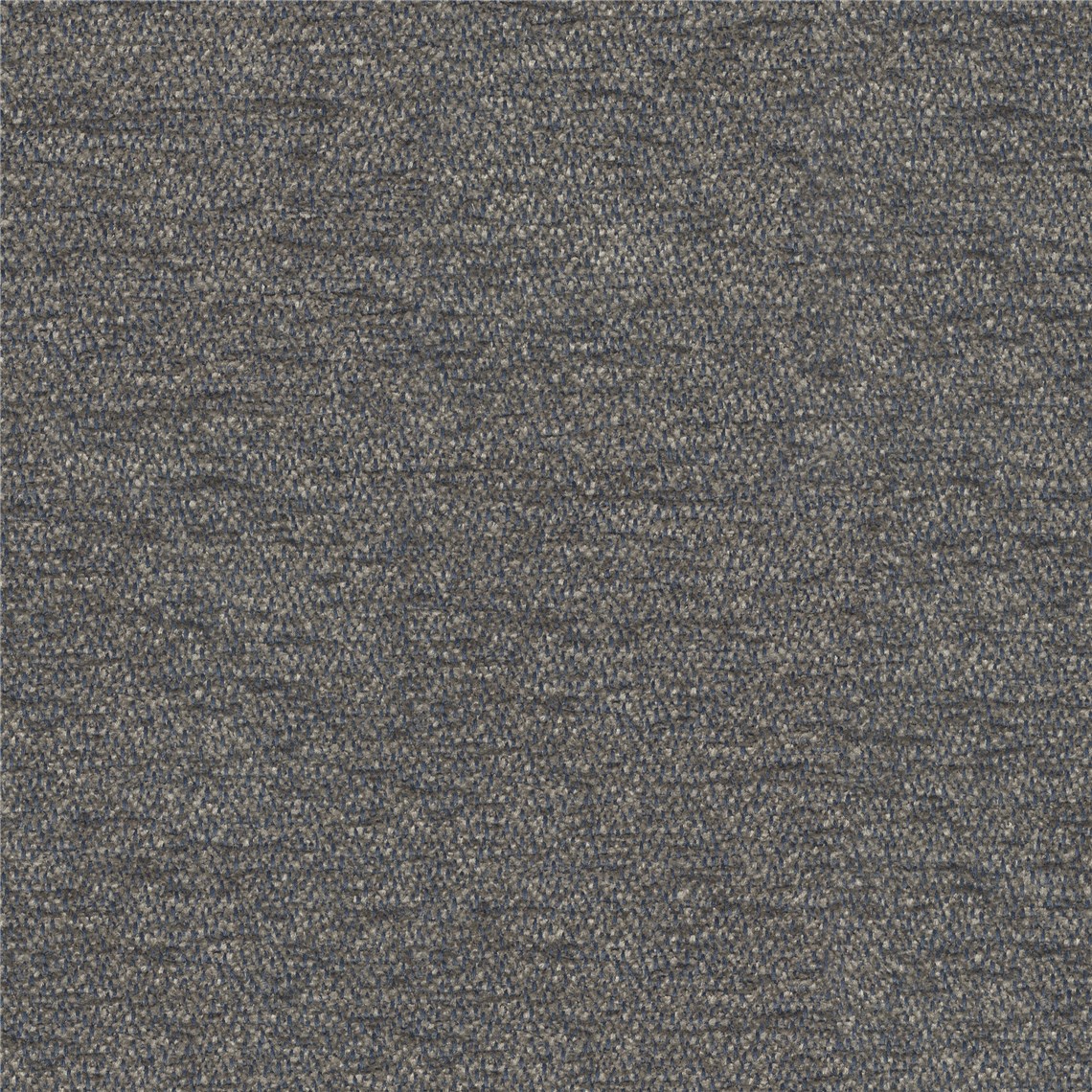 Coachella_Sharkskin