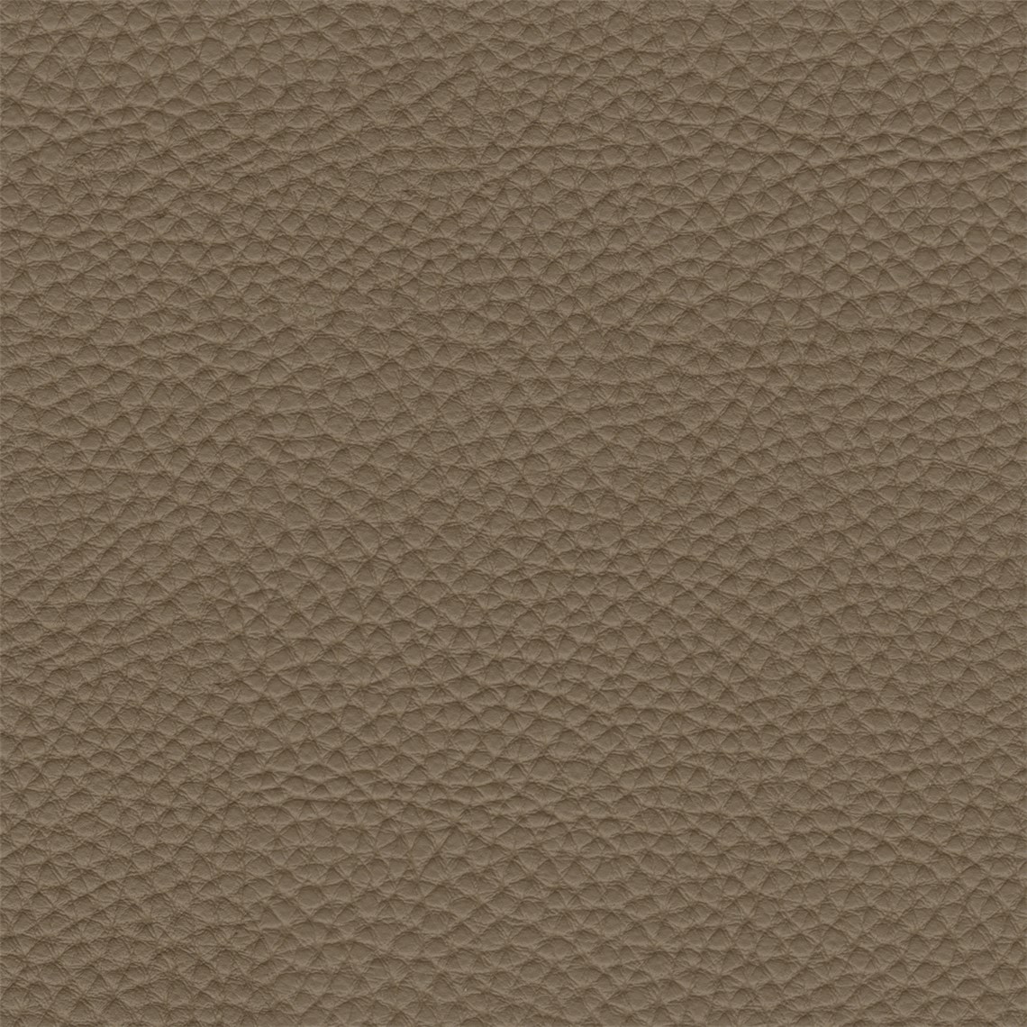 Couture_Brun