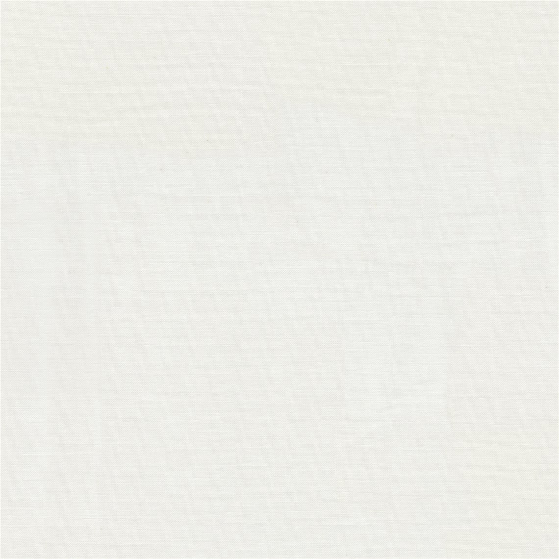 Daylight_Swan