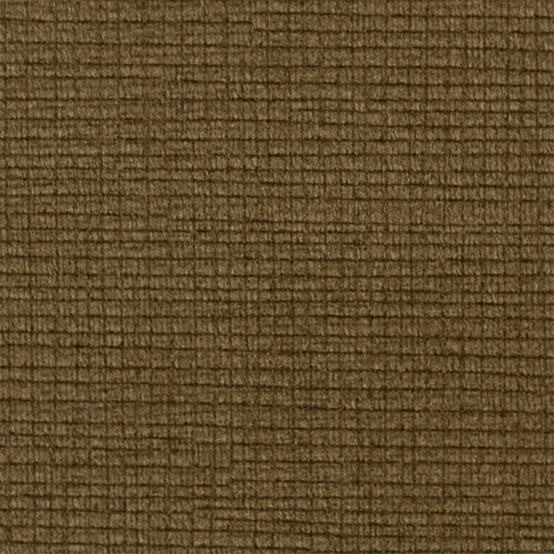 Debonair_Maple