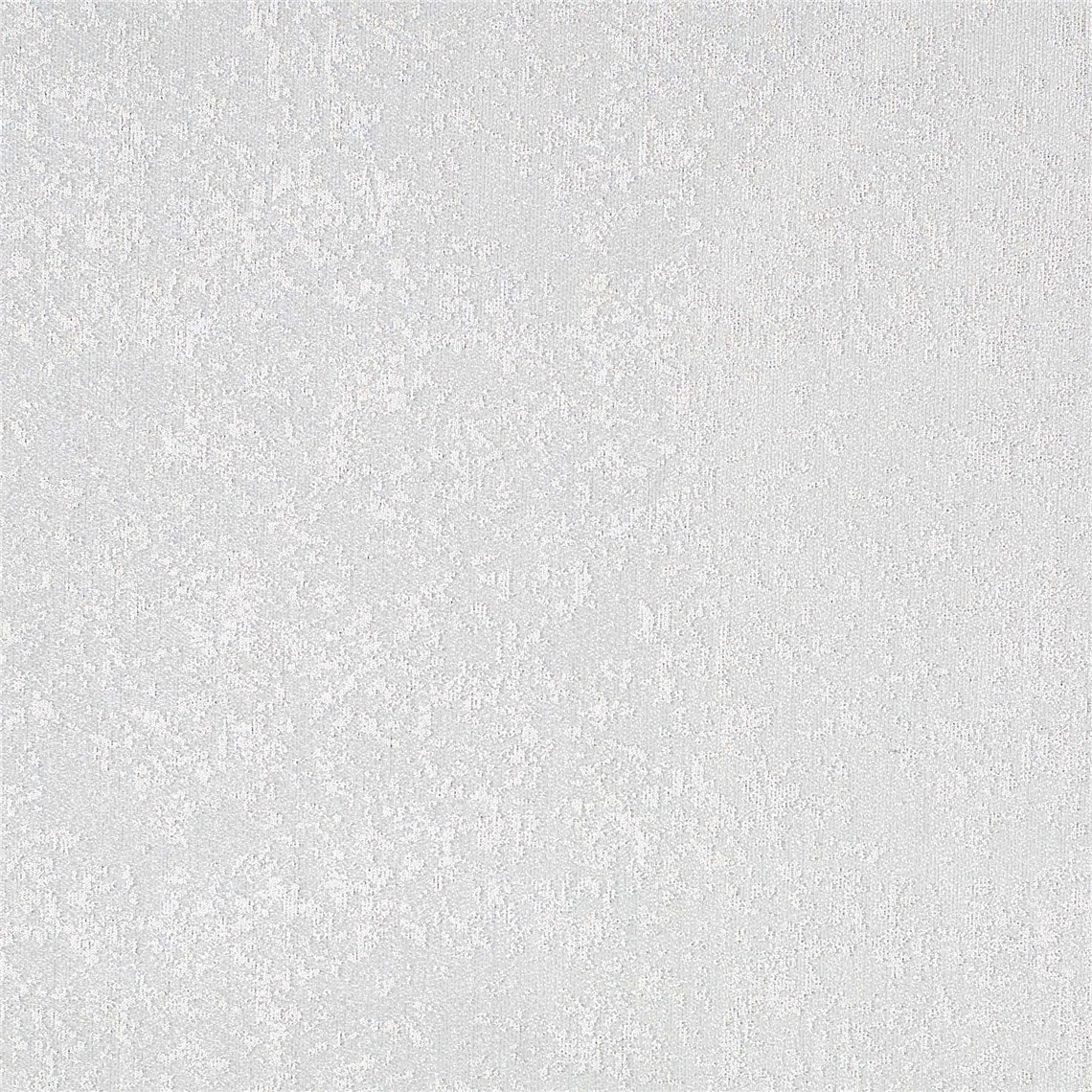 Dreamtime_Coconut