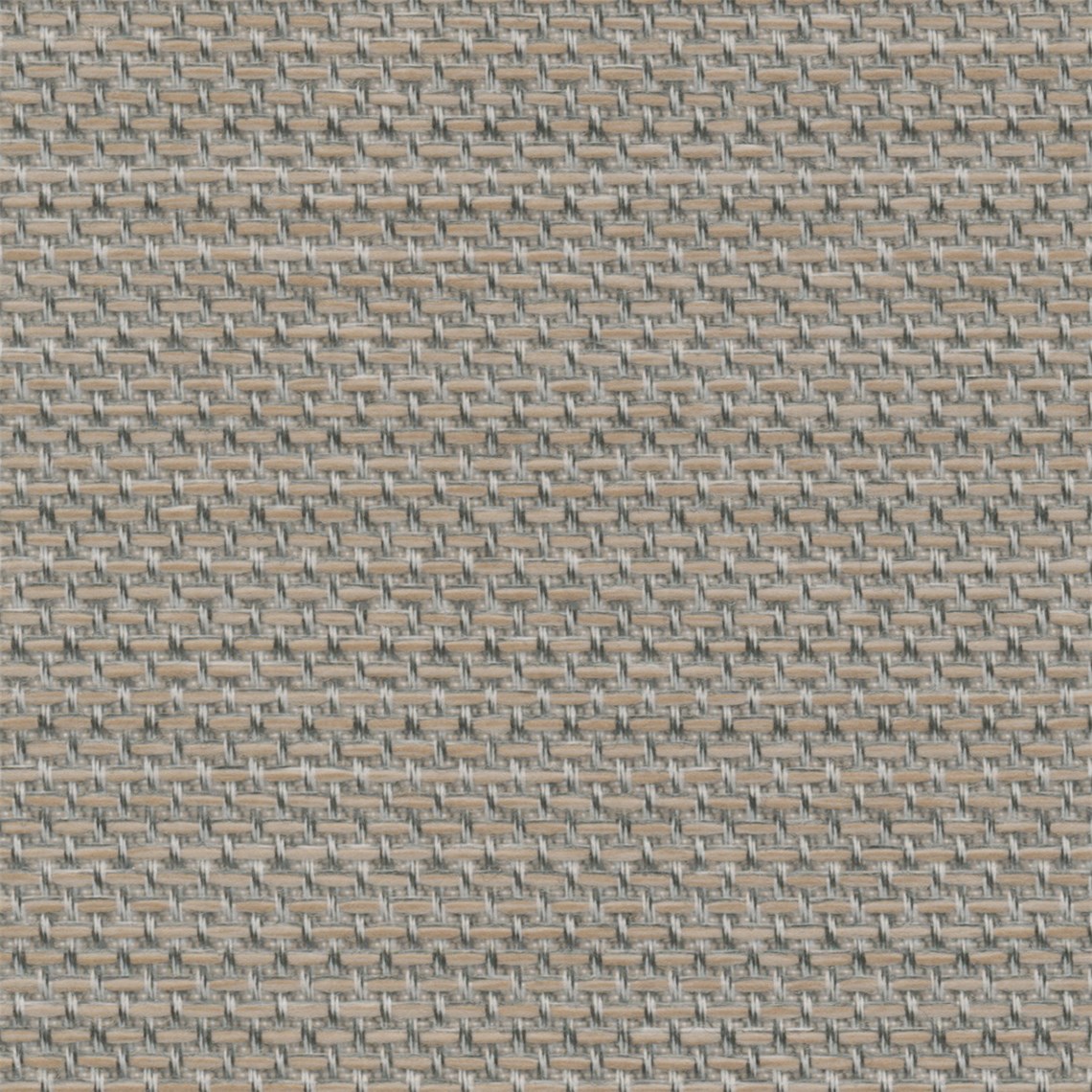 Echelon_Birch