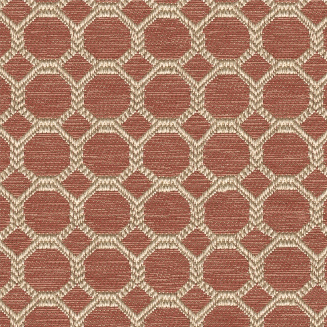 Elegant_Coral