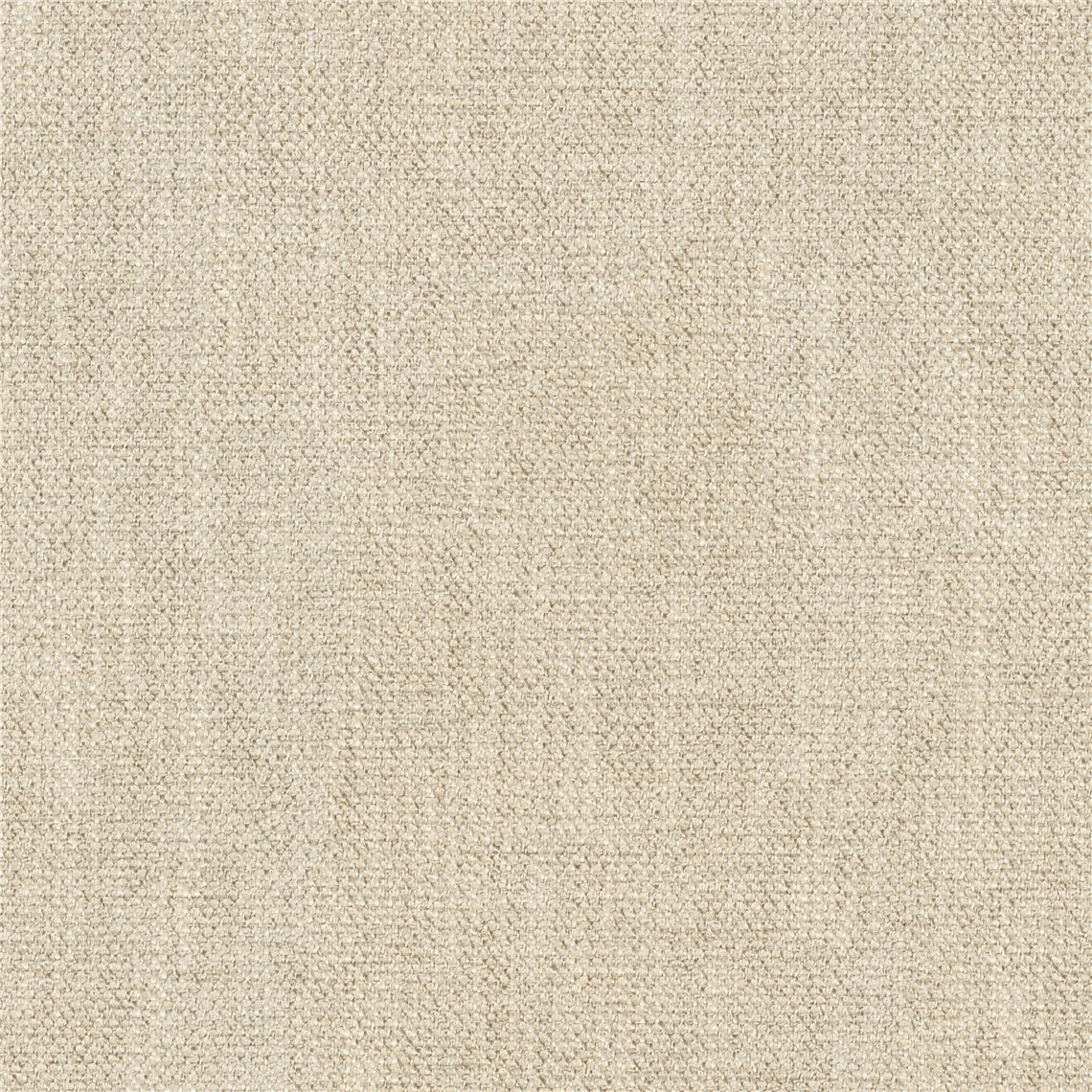 Eloquent_Birch