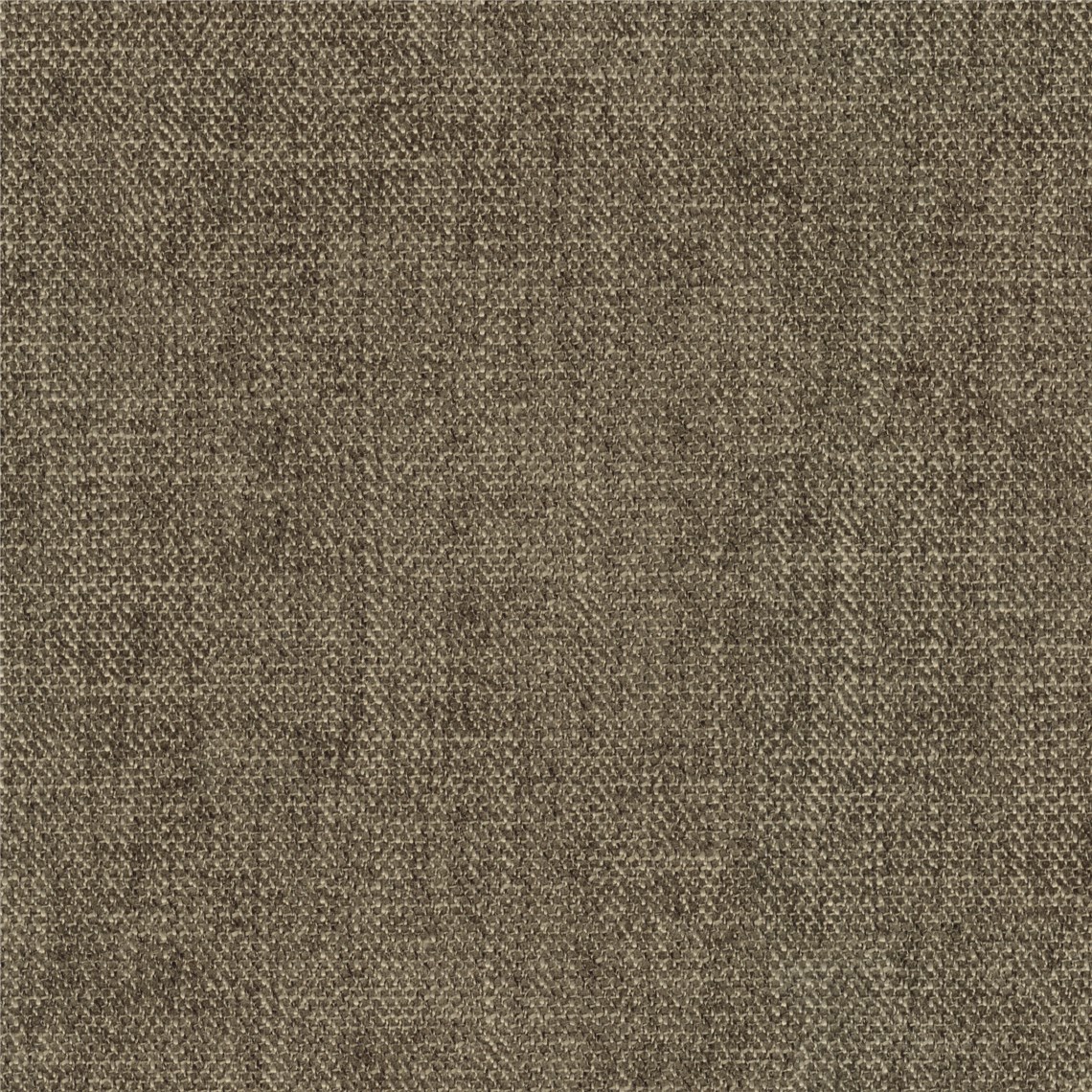 Eloquent_Pecan