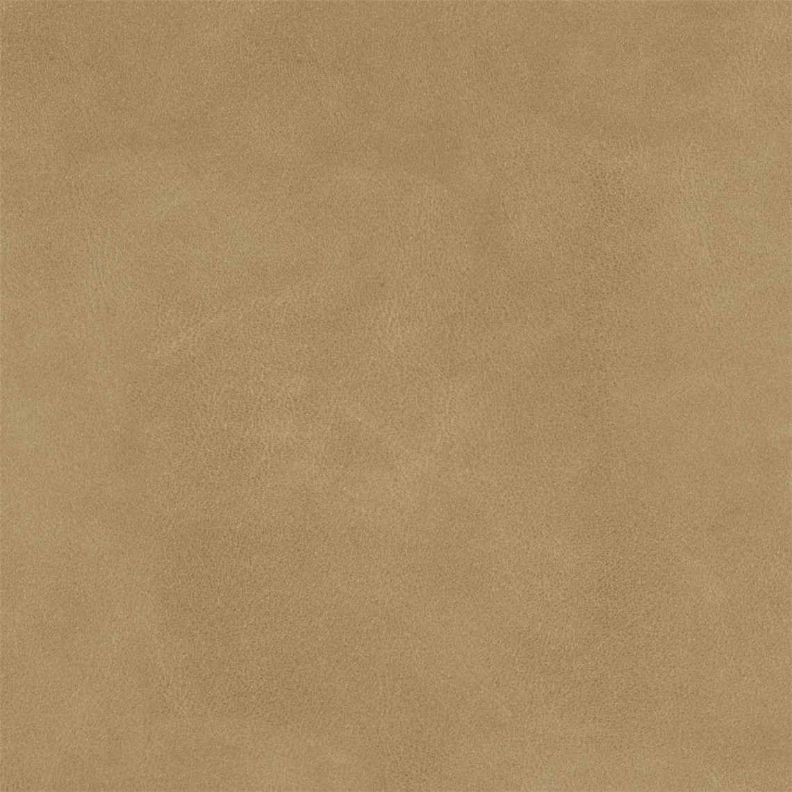 English_Suede_Polocrosse