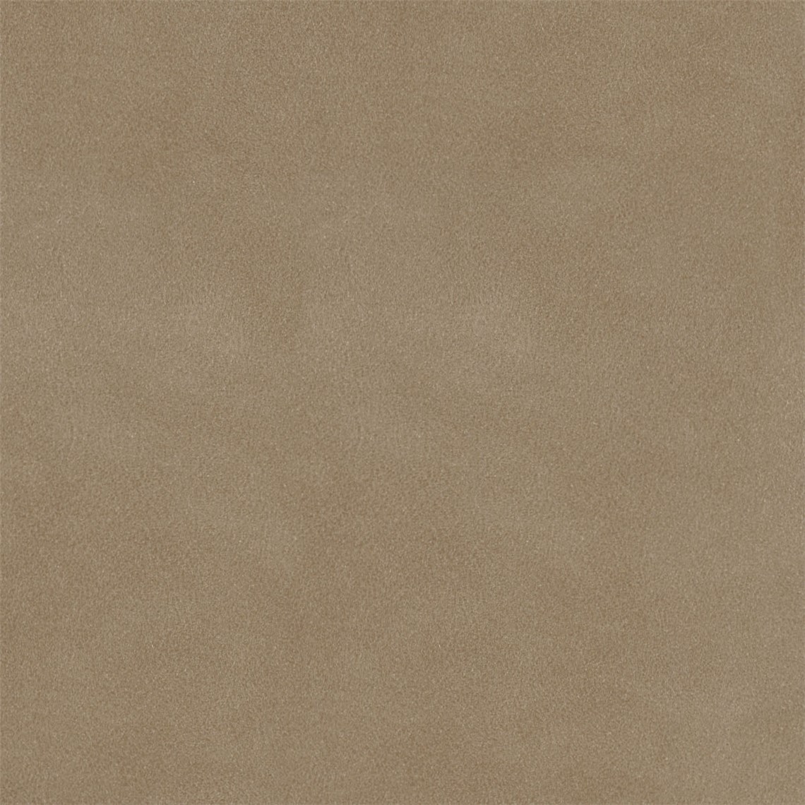 English_Suede_Show_Hunter