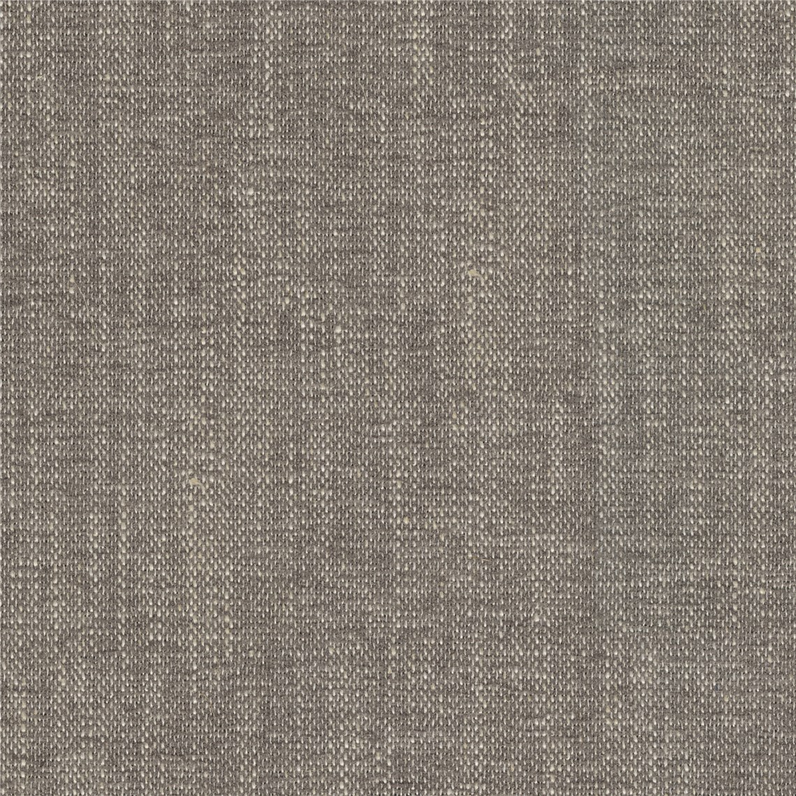Ethos_Fossil