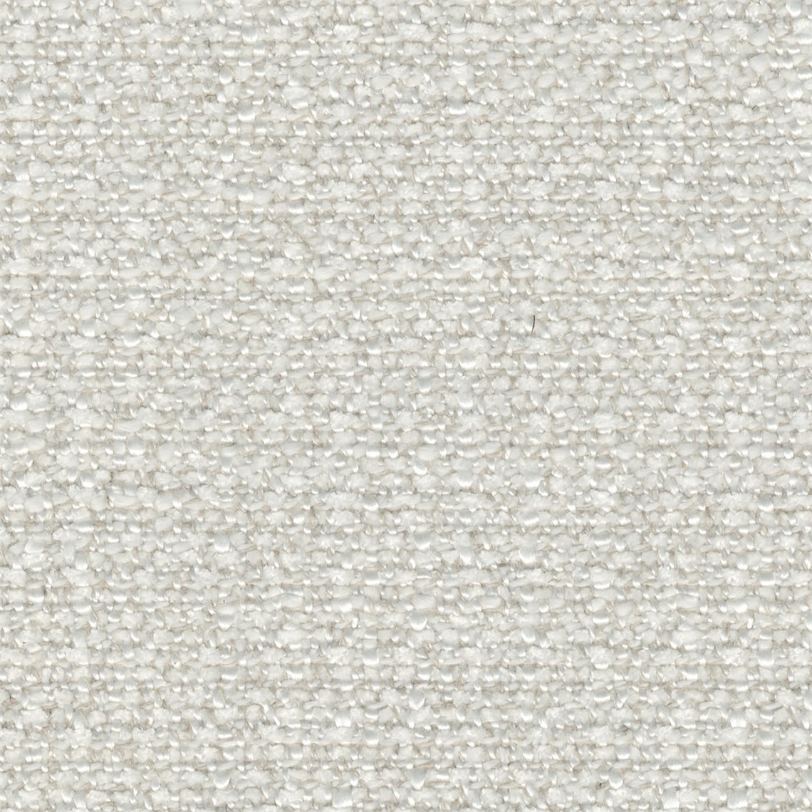 Euphoria_Birch