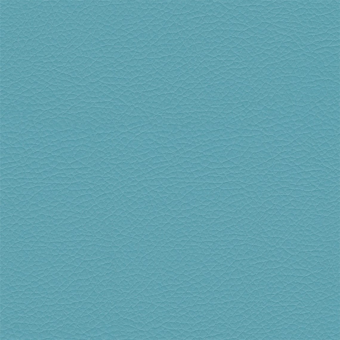 Evolution_Aquatic