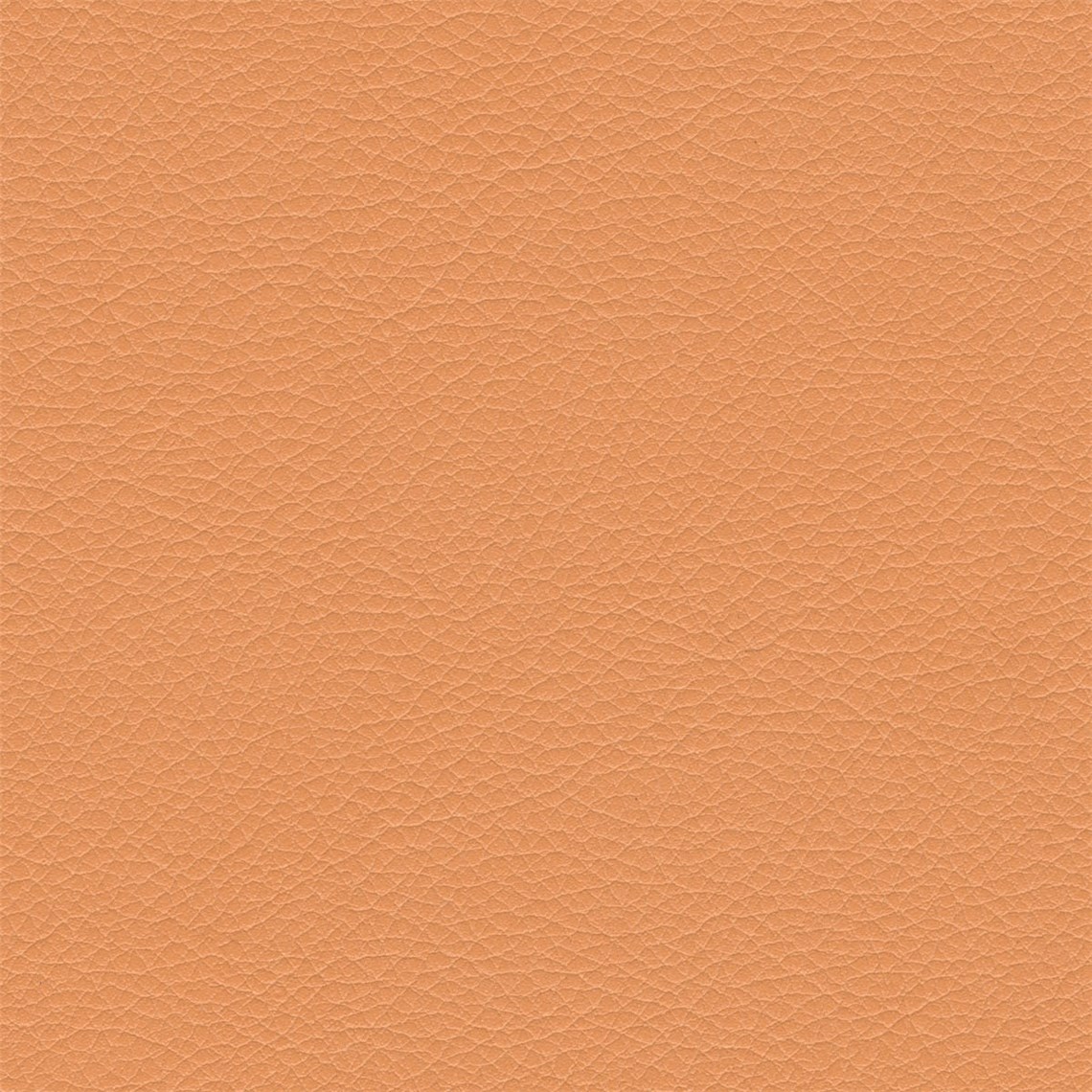 Evolution_Carbon