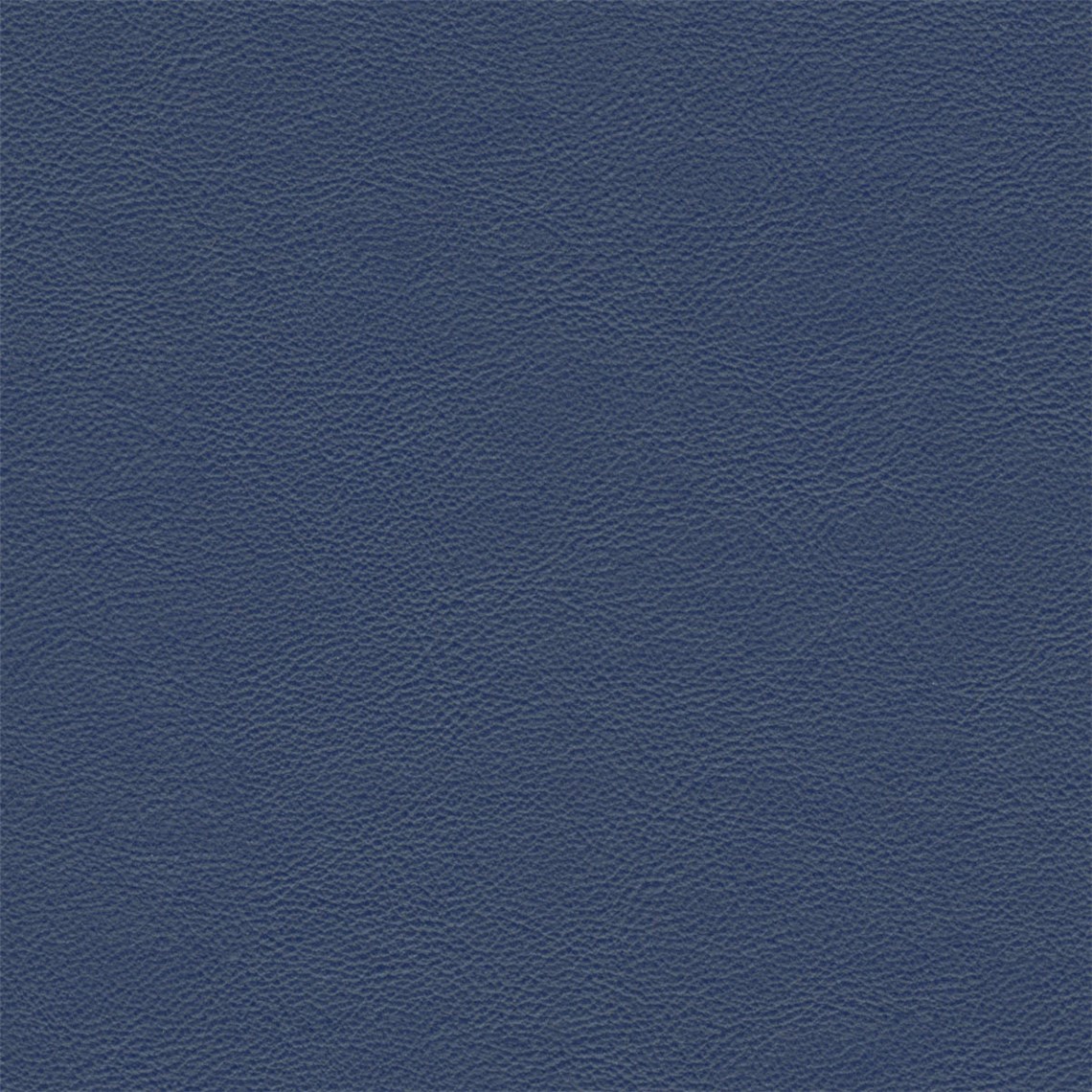 Evolution_Navy