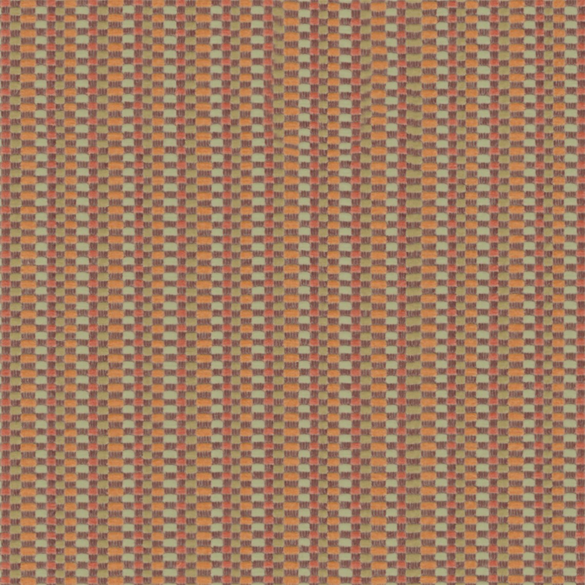 Excel_Coral