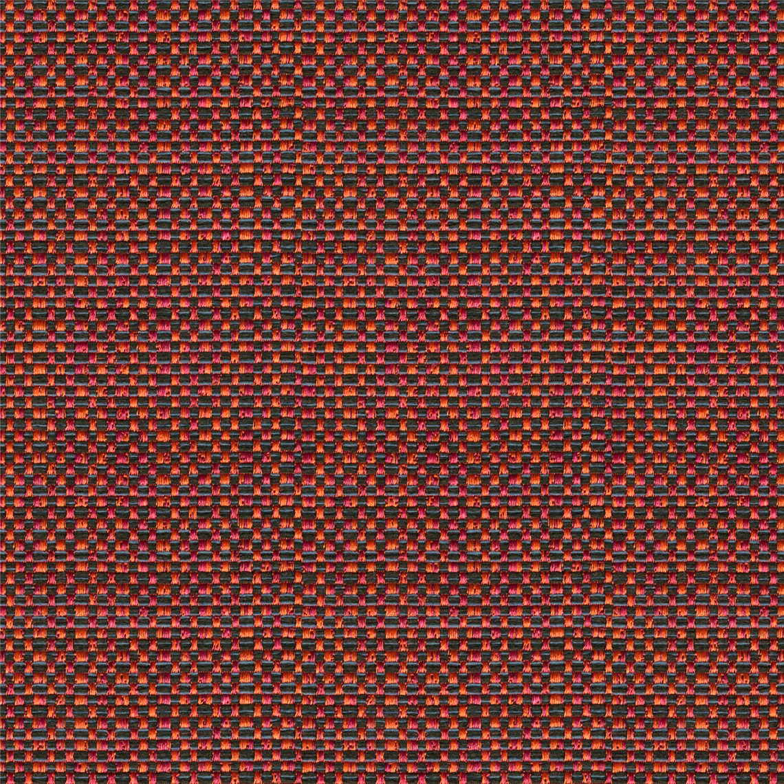Excursion_Aster