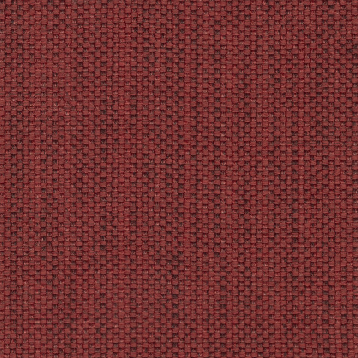 Galleon_Rhubarb