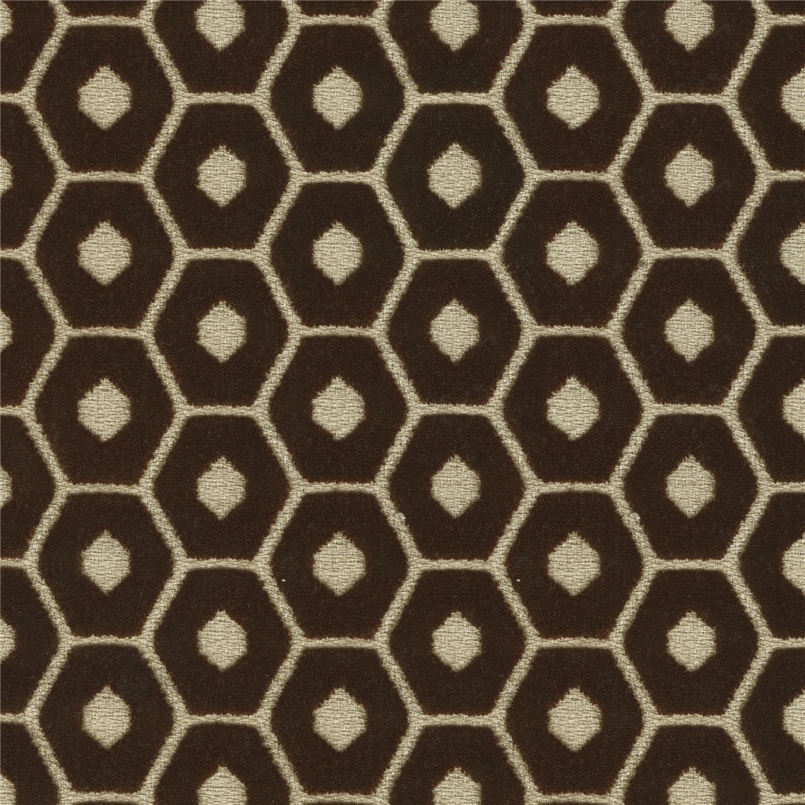 Gemma_Chocolate
