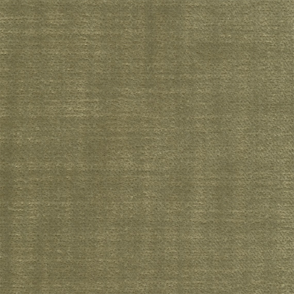 Griffin_Spring_Green