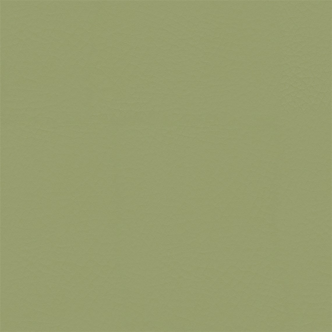 Healthy_Avocado