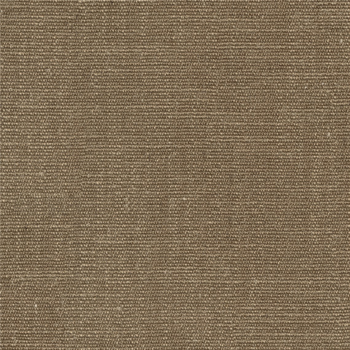 Hofmann_Conifer