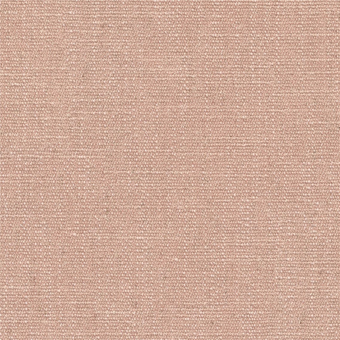 Hofmann_Pinkroot