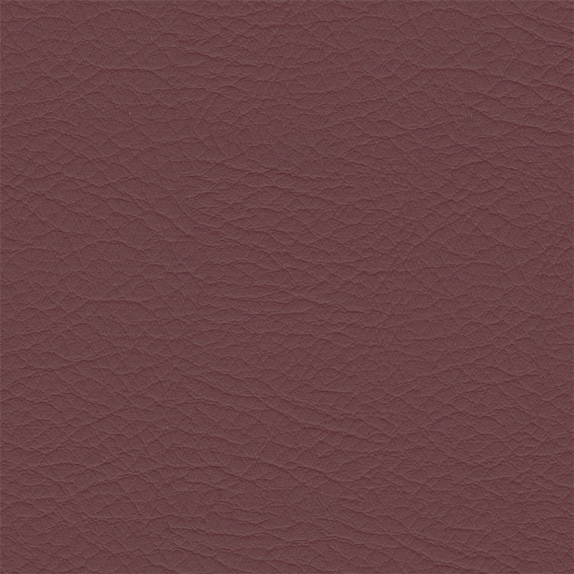 Hush_Bordeaux