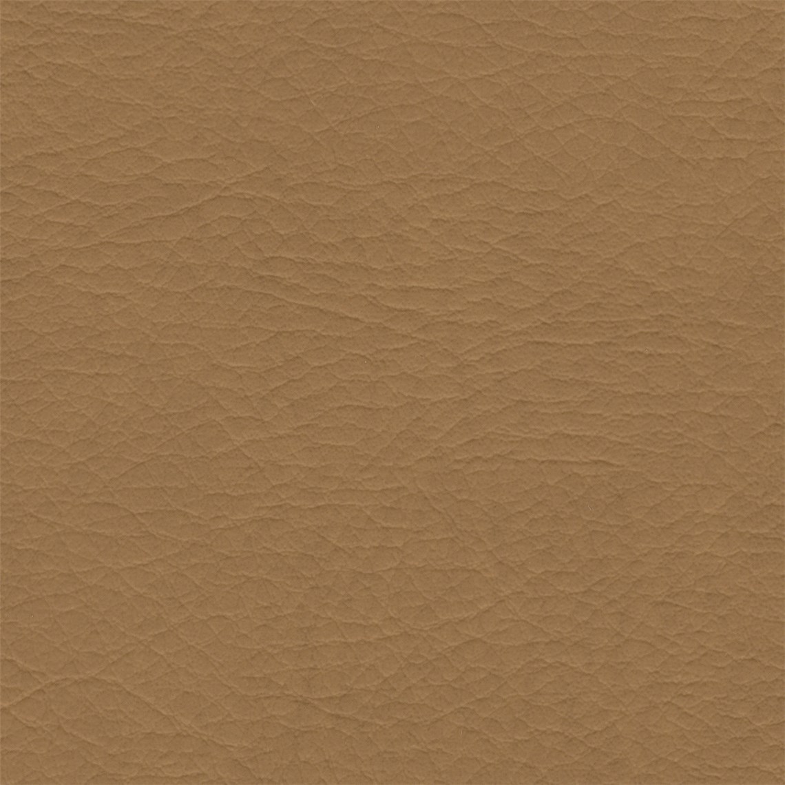 Hush_Cognac