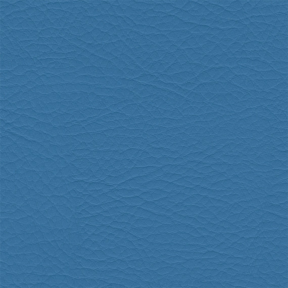 Hush_Pacific