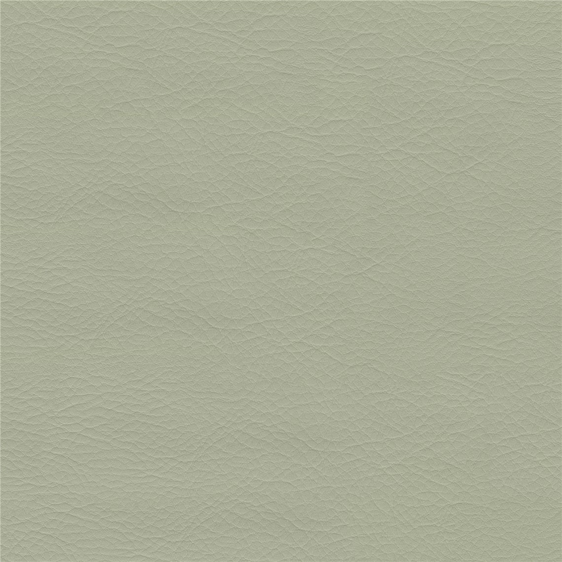 Hush_Silver_Leaf