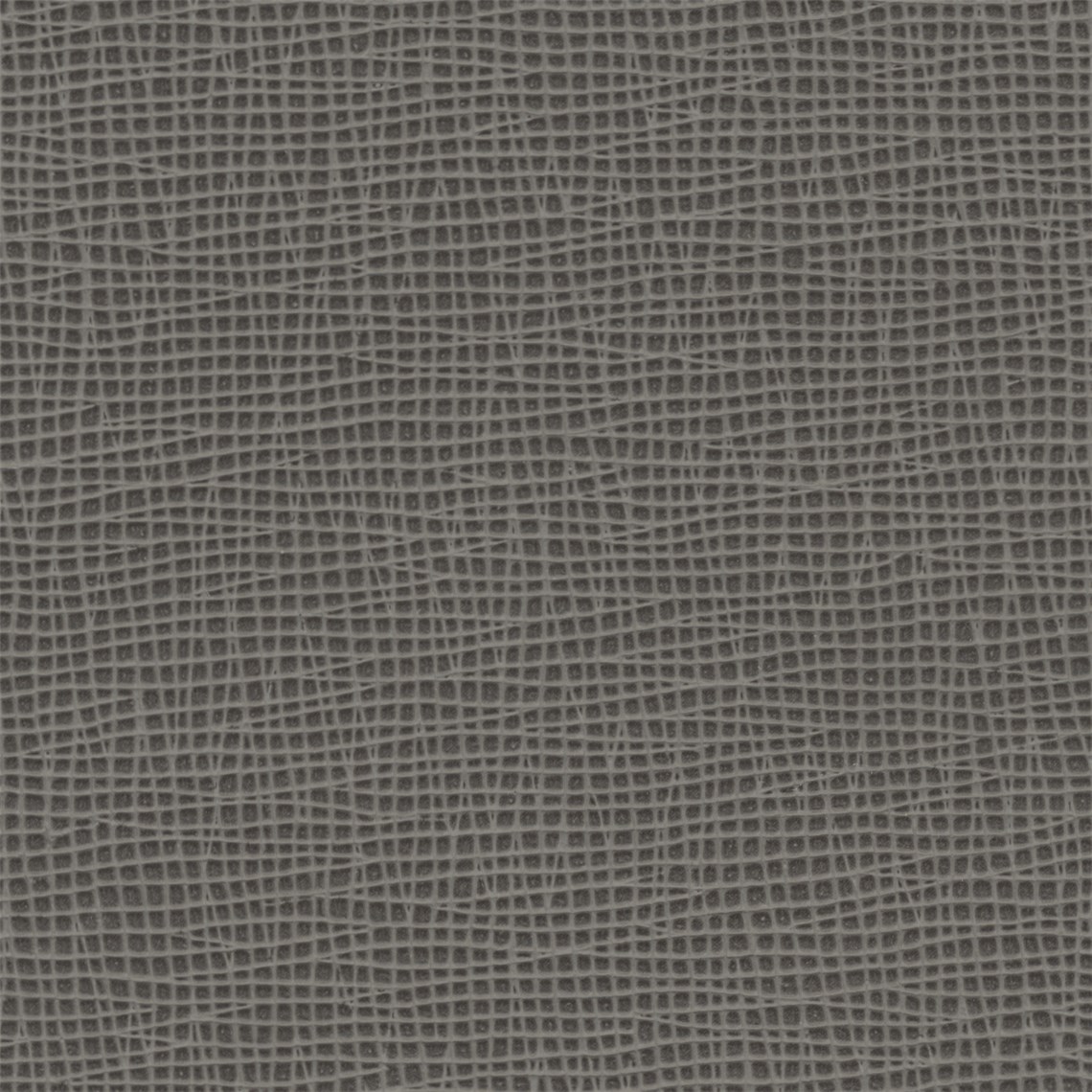 Intricato_Carbone