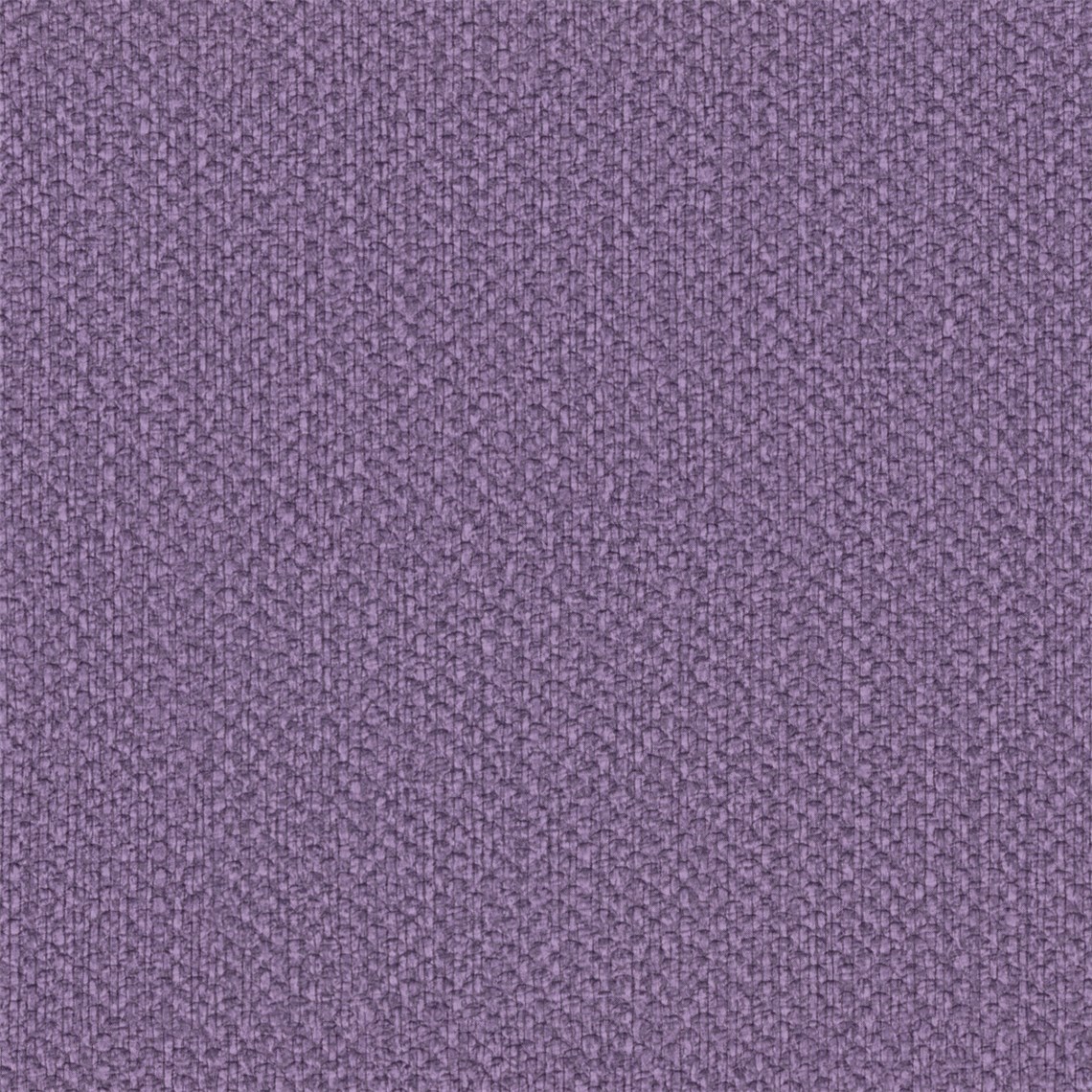 Lanai_Eggplant