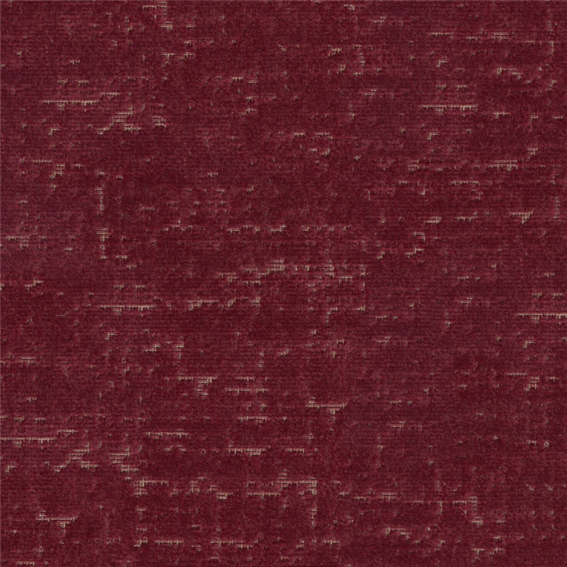 Larkspur_Currant