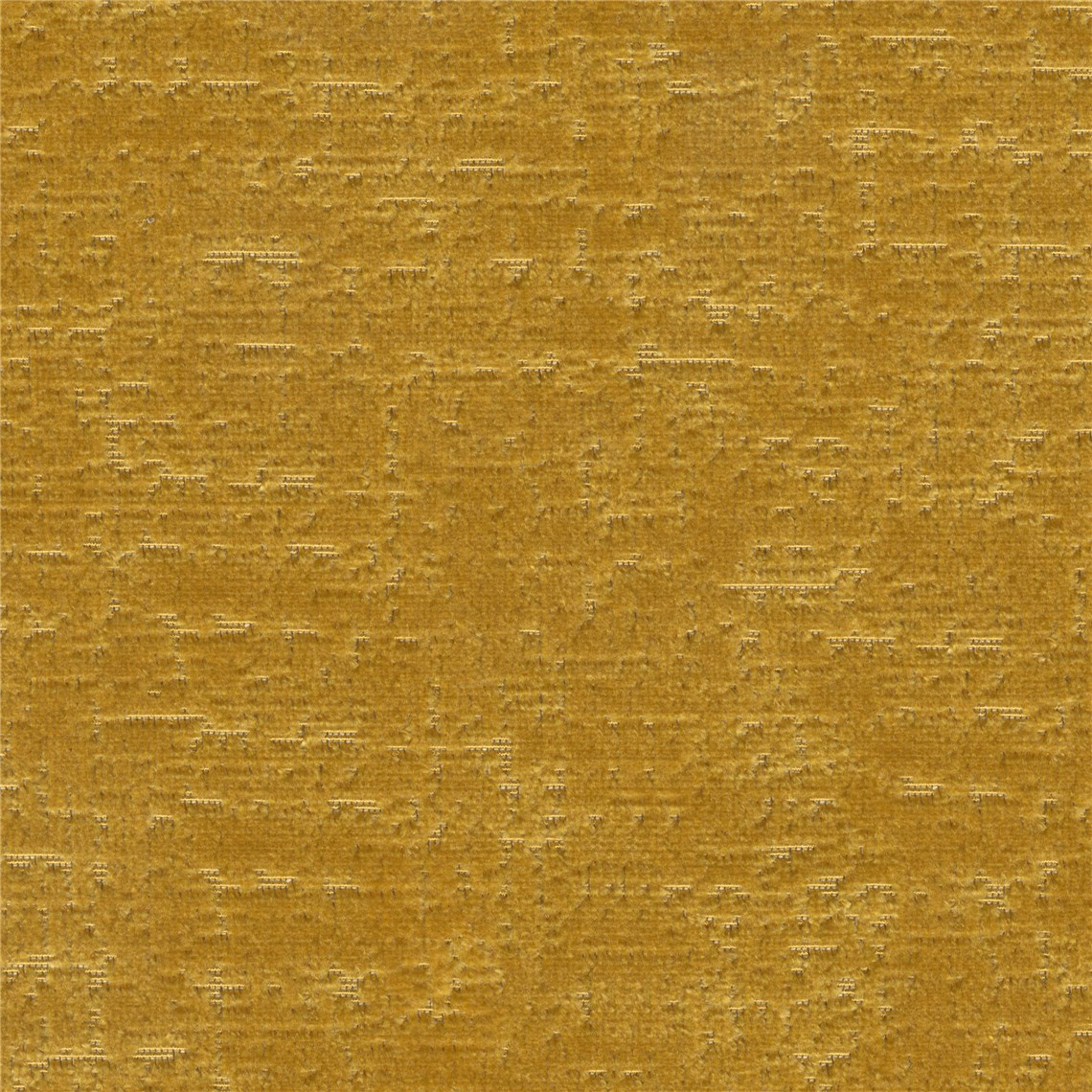 Larkspur_Golden_Gate
