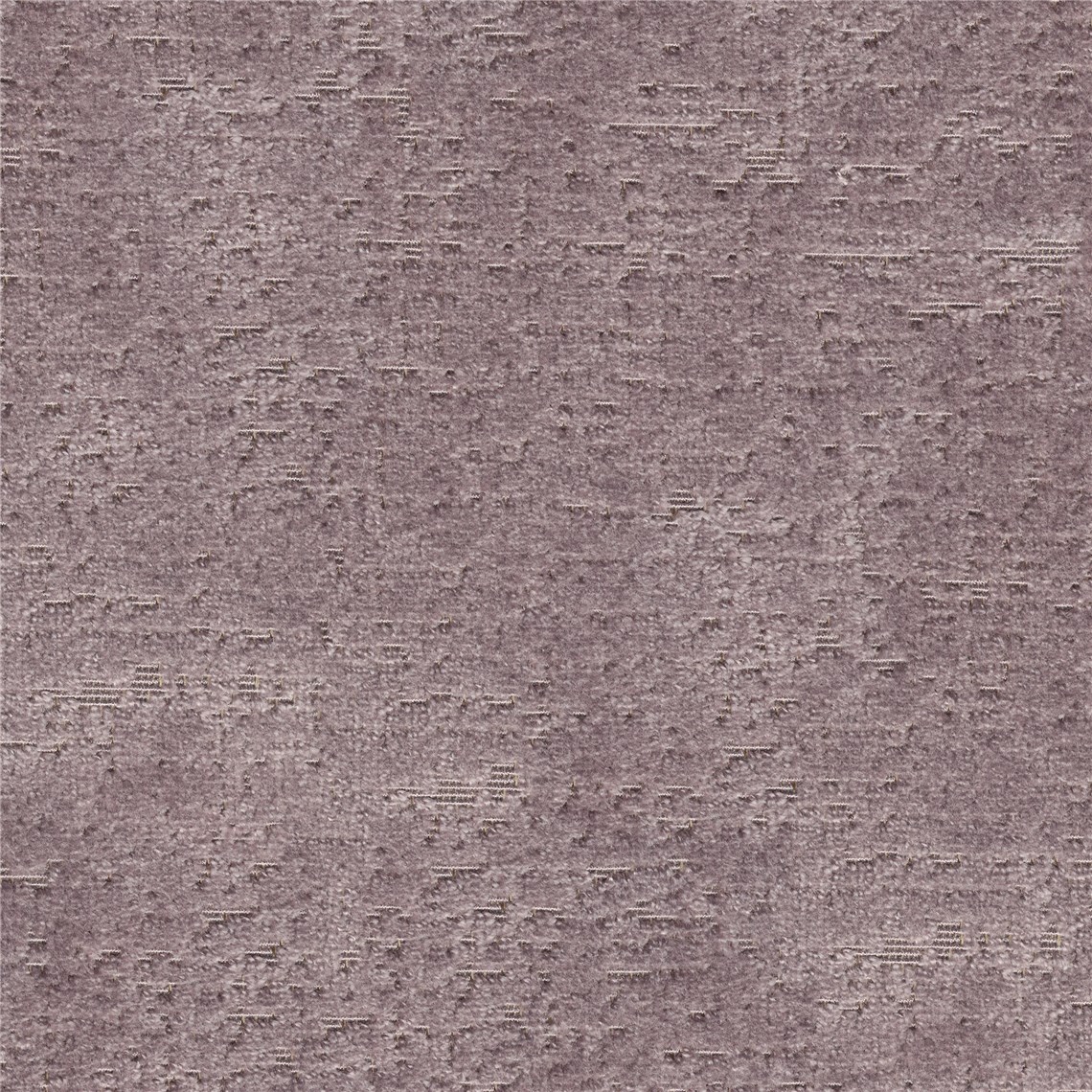 Larkspur_Rose