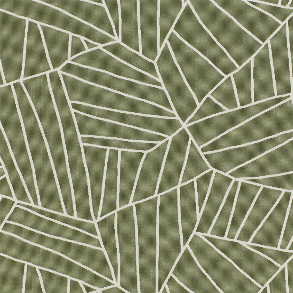 Las_Palmas_Parsley