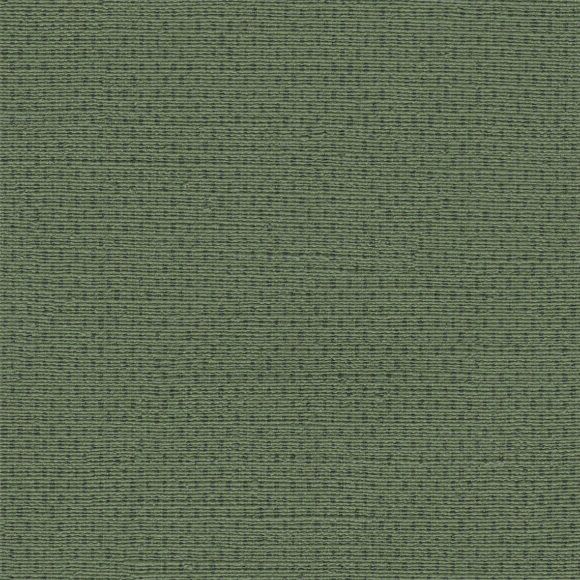 Lincoln_Forest