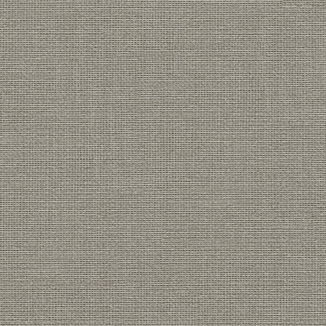 Muslin_Dove