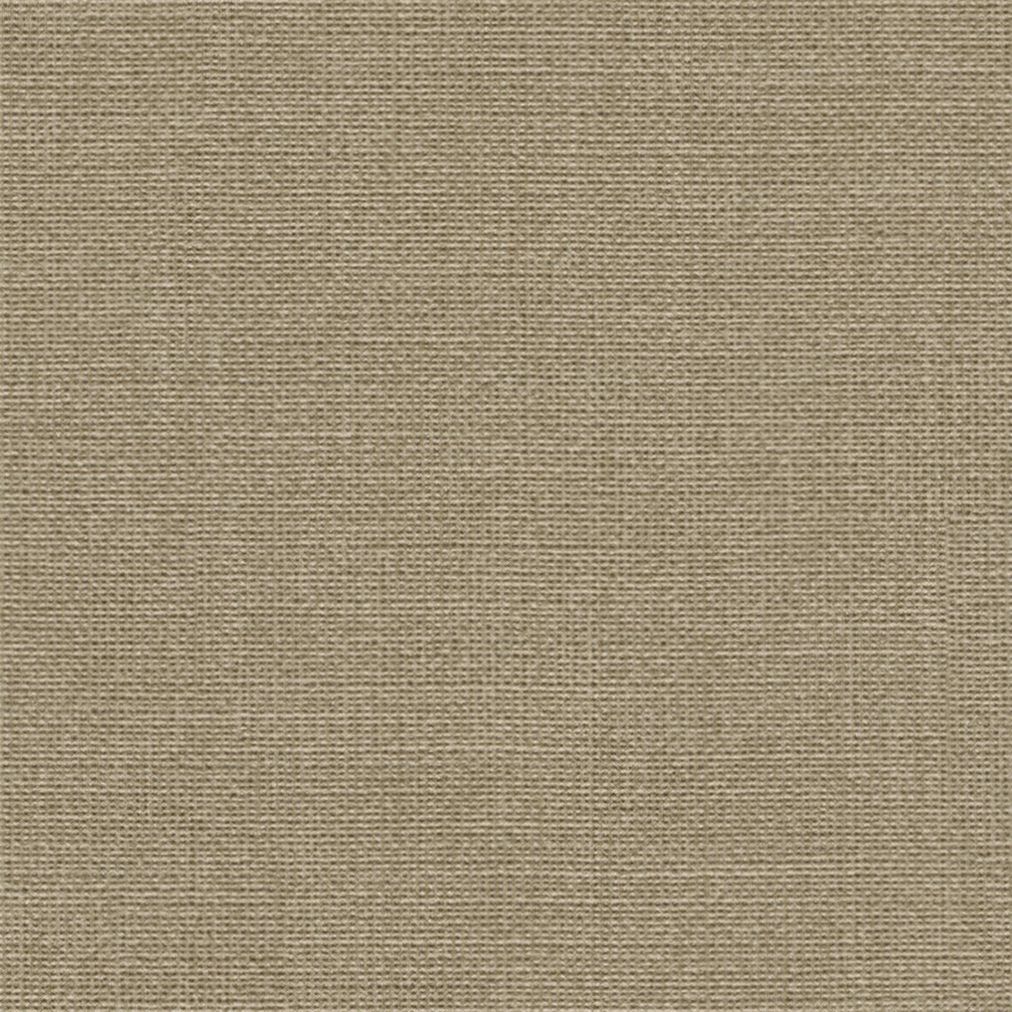 Muslin_Fossil