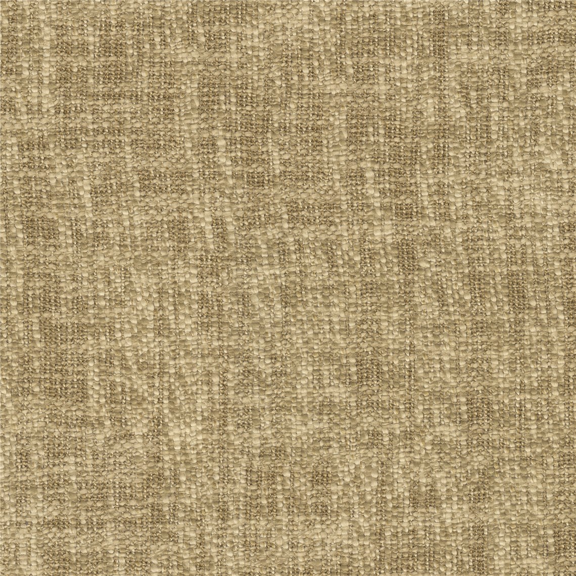 Natura_Camel