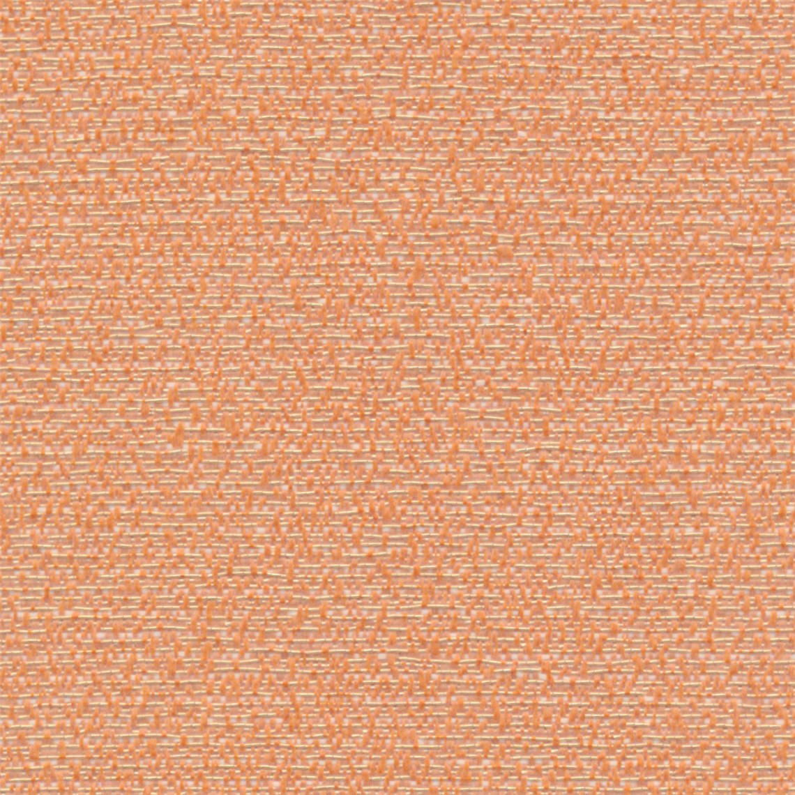 Noble_Pumpkin