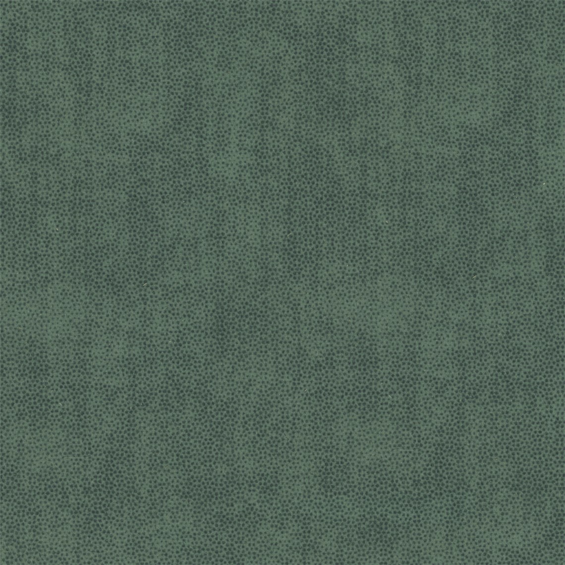 Northampton_Ocean_Green
