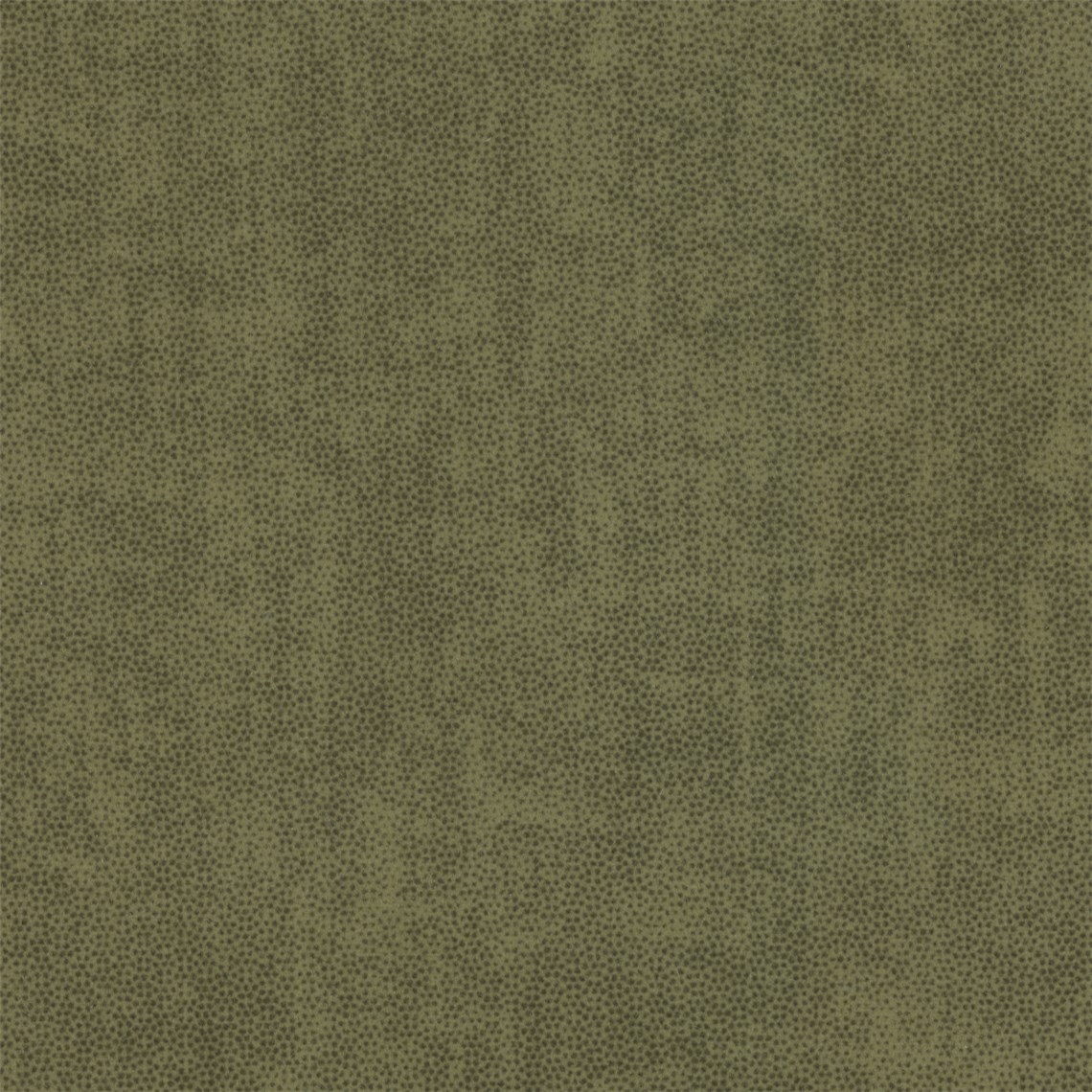 Northampton_Olive